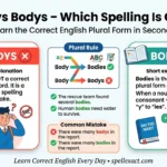 Bodies vs Bodys