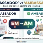 Embassador vs Ambassador