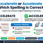 Excelerate or Accelerate