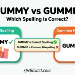 Gummy vs Gummie