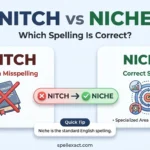 Nitch vs Niche