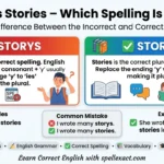 Storys or Stories