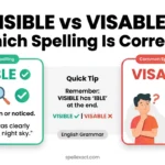Visible or Visable