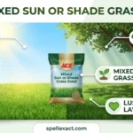Ace Mixed Sun or Shade Grass Seed