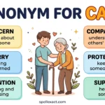 Synonym for Care