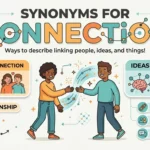 Synonyms for Connection