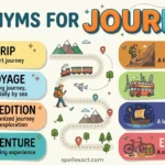 Synonyms for Journey